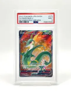 PSA9】ジャローダV SR s11a 075/068 白熱のアルカナ - メルカリ