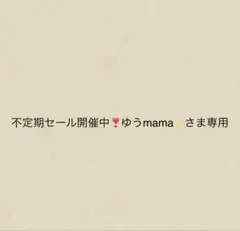 不定期セール開催中❣️ゆうmama✨さま専用