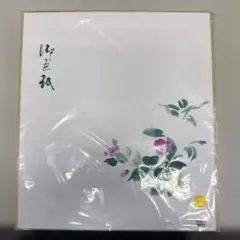 10枚セット 色紙 画仙