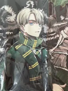 Harry Potter Draco Malfoy タオル