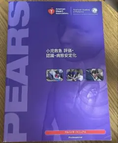 2026年最新】pears プロバイダーの人気アイテム - メルカリ