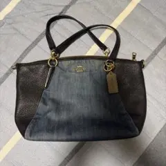 COACH ミニ セージ キャリーオール