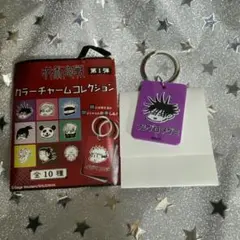 呪術廻戦　伏黒恵　カラーチャームコレクション　原作絵グッズ　週刊少年ジャンプ