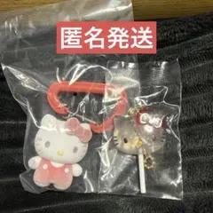 カラフルカラビナマスコットチャーム カラフルキャンディチャーム ハローキティ