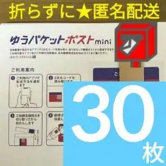 【30枚】即発送◎ ★匿名配送★ ゆうパケットポスト mini ミニ 専用封筒