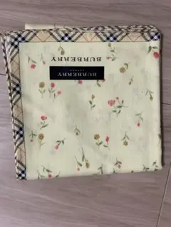 Item thumbnail for item ea15de21-1ed0-4f80-9de1-f65b9ab83e4b