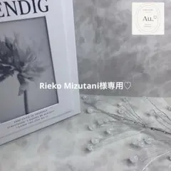 Rieko Mizutani様 リクエスト 2点 まとめ商品