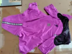 Item thumbnail for item 5a51c717-146d-4999-ba8f-f83d79d0c03b