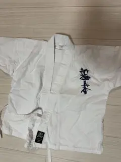 新極真会 空手 道着 サイズ120