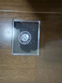 Item thumbnail for item 440ab54a-93c5-495d-a952-dd965e9cce19