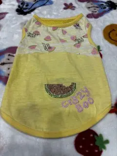 Item thumbnail for item d99b7bf6-b14c-401e-bea9-ff97d803d2ca