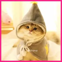 Item thumbnail for item dfe94e63-b991-49a0-ab4e-30f6e1f0c73a