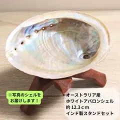 【天然一点物】オーストラリア産アバロンシェル12.3cm＆木製スタンド 浄化皿