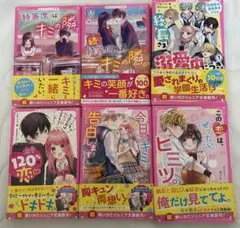 野いちご文庫セット