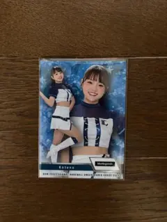 Item thumbnail for item 3b4751e1-af4e-40f7-8e31-c9d738b6ddef