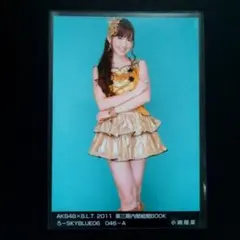 小嶋陽菜 AKB48 B.L.T. 2011 生写真 AKB48 小嶋陽菜 B.L.T. 生写真 2011 - メルカリ