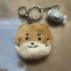 SEVENTEEN miniteen ディノ チャンダリ ぬいぐるみキーリング - メルカリ