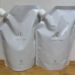 Item thumbnail for item 9666a226-11d1-41a5-82d7-cfe7d246feba