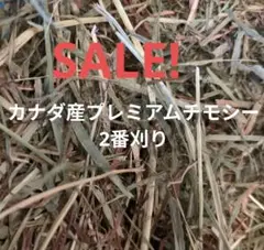 Item thumbnail for item 0a11fea6-4a95-4822-a90d-46706c2fb690