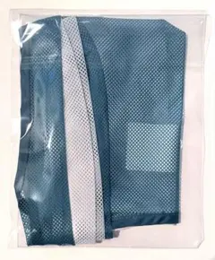 【新品未開封】サカナクション 2026-2027 “透明”MESH BAG緑×白
