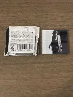 Acid Black Cherry マグネット 愛してない