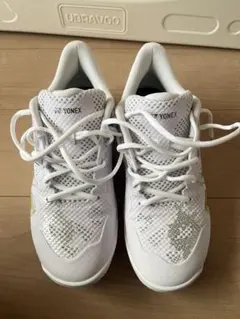 Item thumbnail for item 83333f72-3d8d-41f3-9870-da09d91edbf6