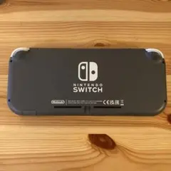 任天堂スイッチライト グレー　画面に難あり