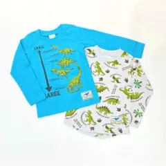 子供服 男の子 長袖Tシャツ まとめ売り 恐竜 100cm 新品 TWN107