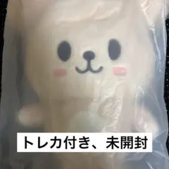 Stray Kids スキズ ペンミ バックパック パピーム スンミン - メルカリ