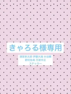 専用ページ