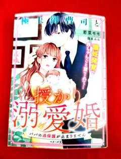 溺愛妊娠 御曹司と赤ちゃんごと溺愛される日々が始まって… 若葉モモ