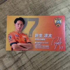 Item thumbnail for item c3925b39-acec-44f1-a407-8ba9c2ce9d2e