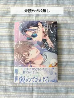BL本　かたくな清にいの訳ありオトナ彼氏