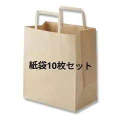 クラフト紙袋 10枚セット 255x220x130mm