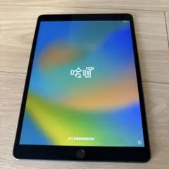 Apple iPad Air第3世代 本体