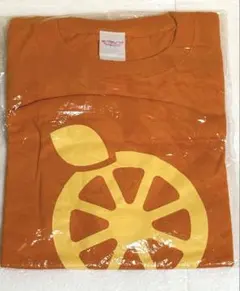 小沢健二 ビッグワッペンフェードT イエロー Lサイズ 黄色 Tシャツ