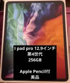 【美品】iPad Pro 12.9インチ　第4世代Wi-Fi +cellular