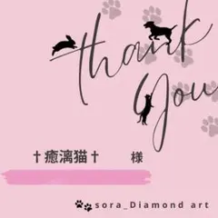 †癒漓猫†様専用④