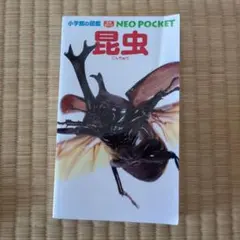 小学館の図鑑NEO POCKET 昆虫