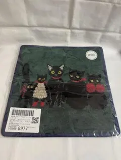 Item thumbnail for item 7c048350-e5ec-46c1-bd43-25c8478fd320