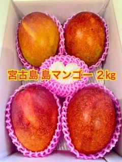 4 宮古島産 島マンゴー4㎏ ⚠️今シーズンラスト - メルカリ