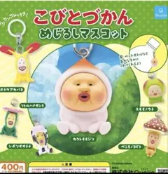 めじるしアクセサリー　こびとづかん　コンプリート　めじるしマスコット
