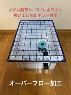 2026年最新】NV box 13 メダカの人気アイテム - メルカリ