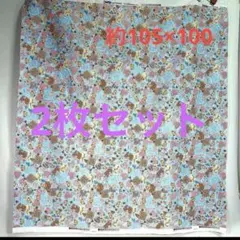 Item thumbnail for item ea0c3c39-f8e2-4df0-b9e1-98d496456b98