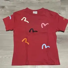 EVISU カモメ Tシャツ ロゴ 短丈 VINTAGE 刺繍 Y2K - メルカリ