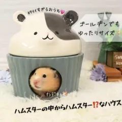 ハムスター ハウス 家 隠れ家 寝床 部屋 大きめ ゴールデン 可愛いのサムネイル
