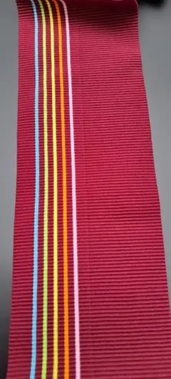 バーガンディ ストライプ リブ編み生地