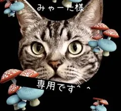 みゃーた様 リクエスト 4点 まとめ商品