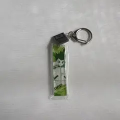 ゴン アクリルキーホルダー ハンターハンター