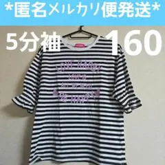 5分袖 袖ゴムギャザー ボーダーTシャツ 160cm